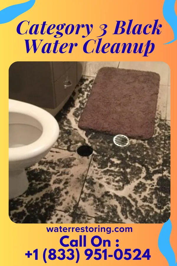 Category 3 Black Water Cleanup in Easton, TX